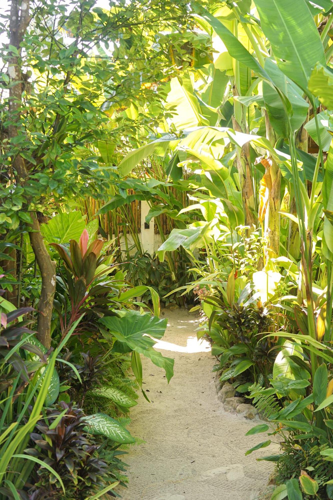 Greenhouse Siargao Roadside Boutique Apartments General Luna  Bagian luar foto